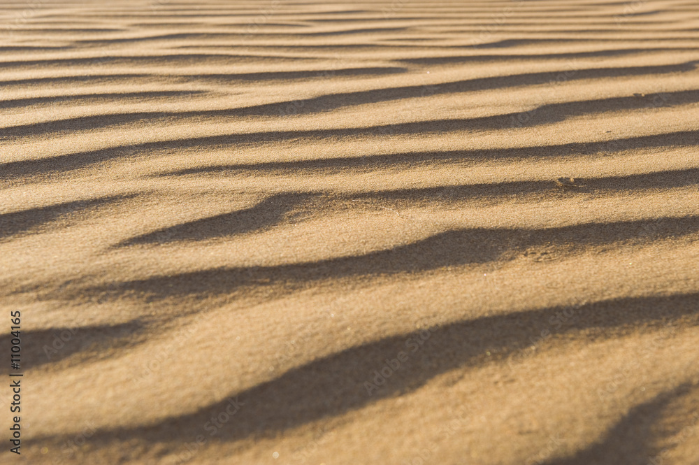 Wahiba Desert Oman Wahiba Desert Oman