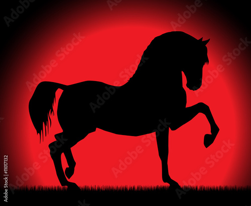 Fototapeta Naklejka Na Ścianę i Meble -  The Spanish stepping horse