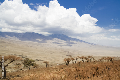 Africa Ngorongoro © Nicola_Del_Mutolo
