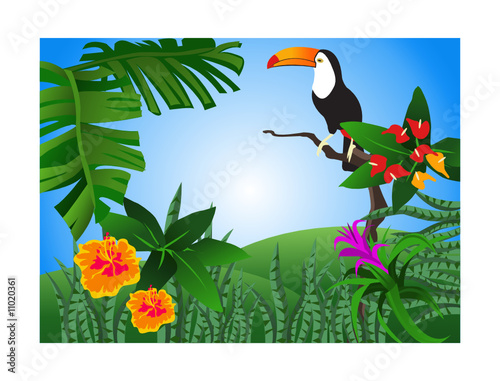Tropic Background