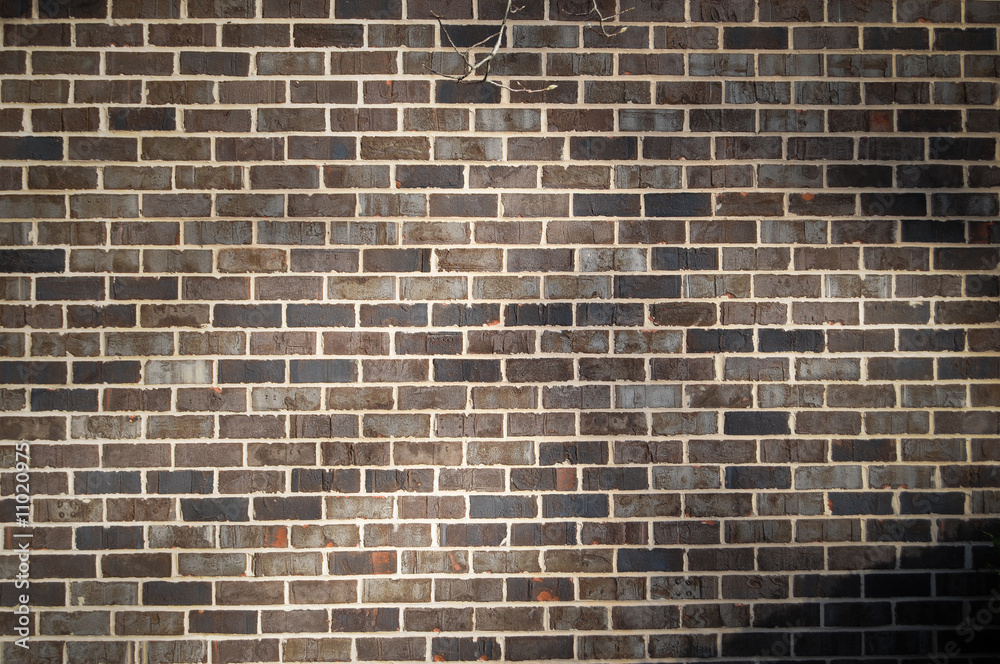 Fototapeta premium Bricks Background
