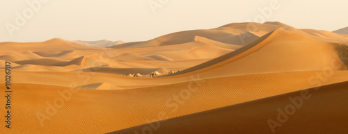 Desert wanderers