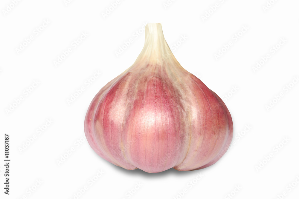 Fototapeta premium garlic