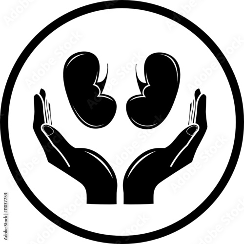 Protection of kidneys. Vector medical icon. Black and white.