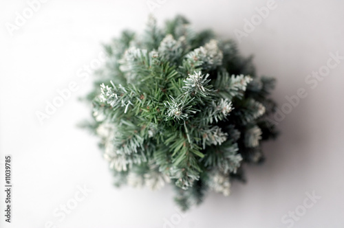Christmas tree, top view