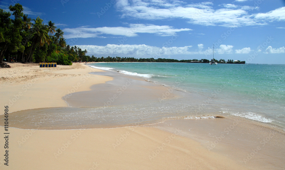 Fototapeta premium Plage aux antilles 4