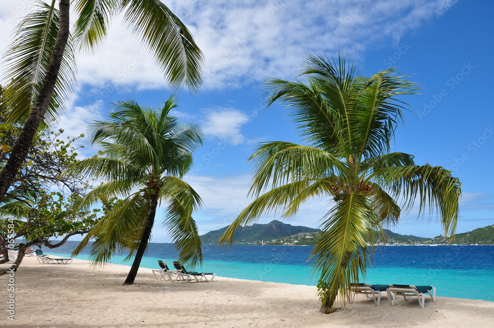 Obraz premium plage grenadines