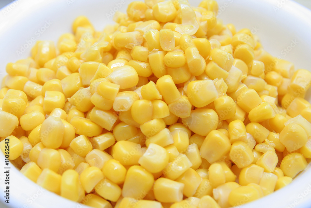 close up corn close up corn