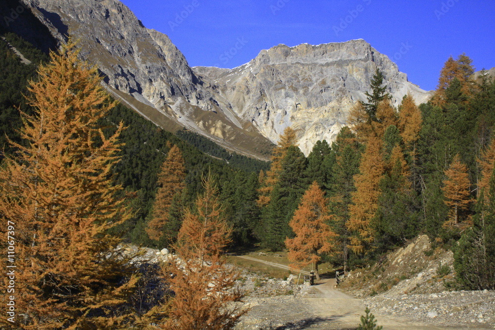 Herbststimmung in S- charl