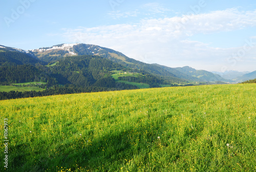 Austrian Alps