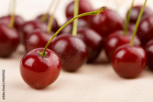 cherries background