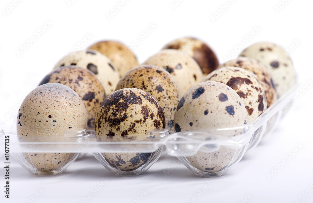 Obraz premium Quail eggs in the plastic box