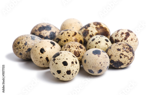 Quail eggs