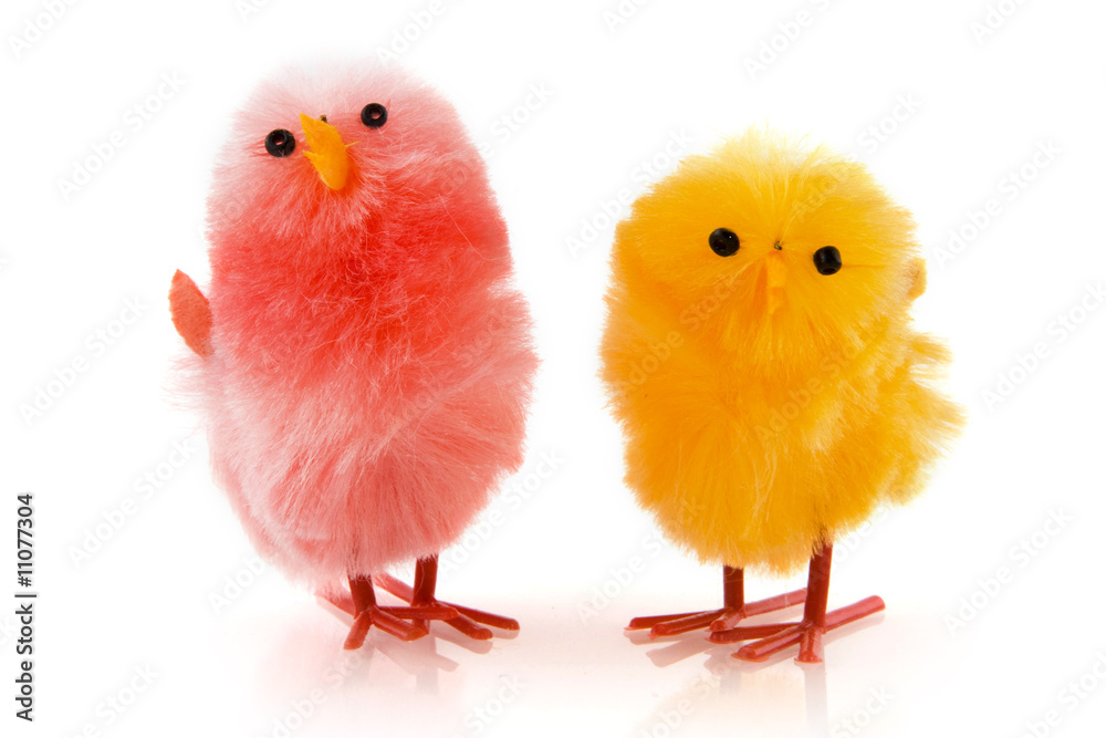 A pair of easter chicken