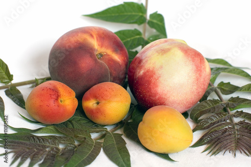 Peach, apple, apricots and leaves. Close up