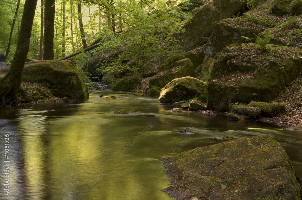 Bachlauf im Wald