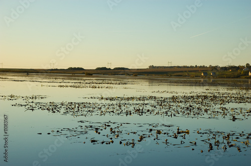 lake landscape