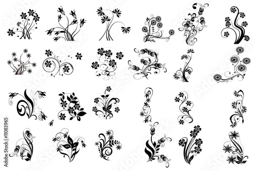 multifloral noir et fleurs