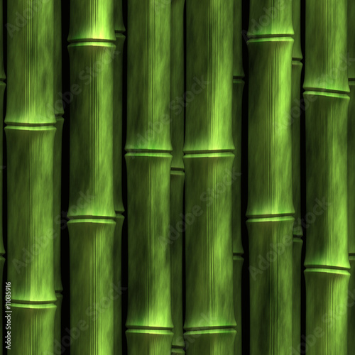 Obraz na płótnie Bamboo Wall