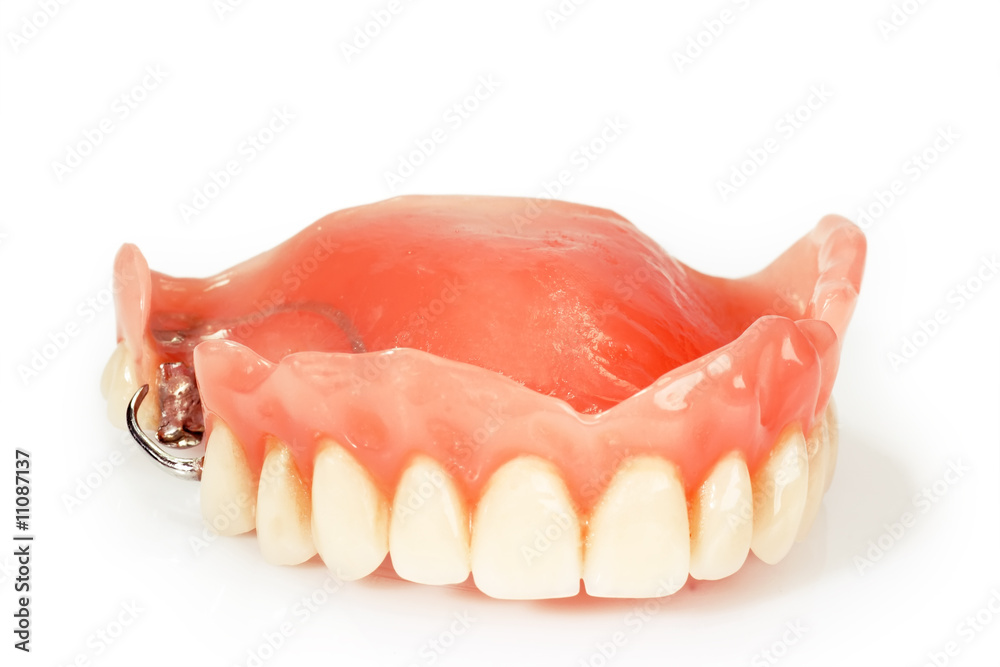 Obraz premium Oberkiefer