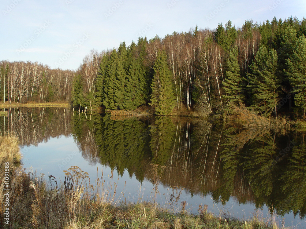 Obraz premium Forest reflects on smooth lake surface