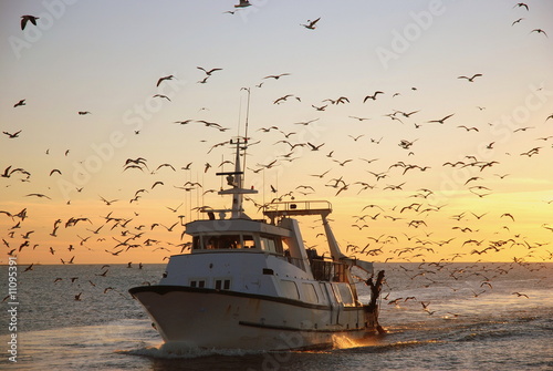 Retour de la pêche