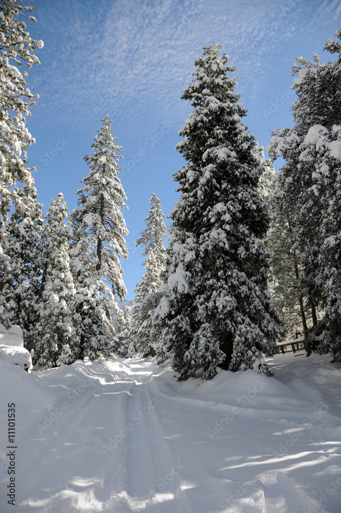 Obraz premium winter landscape