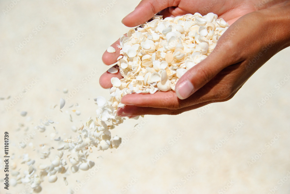 Falling Shells Falling Shells