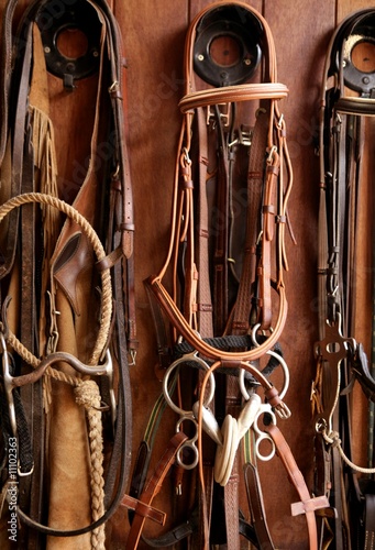 Horse riders complements, rigs, reins, leather over wood