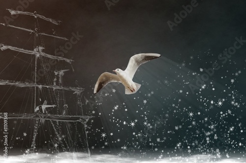 Mouette magique