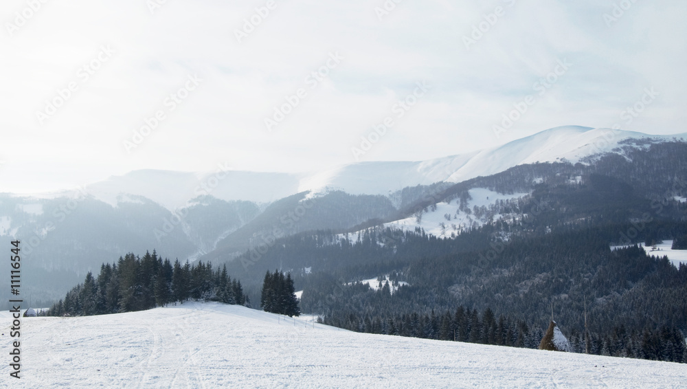 winter landscape