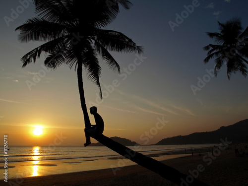 Silhouette of a boy sitting on a palmtree