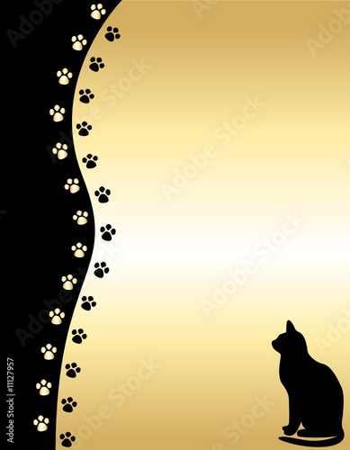 Cat background
