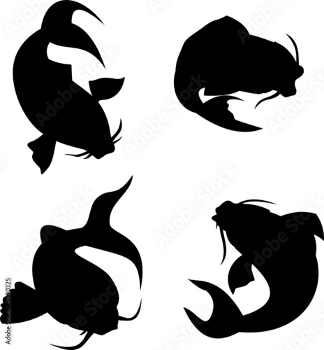 Koi carp silhouette