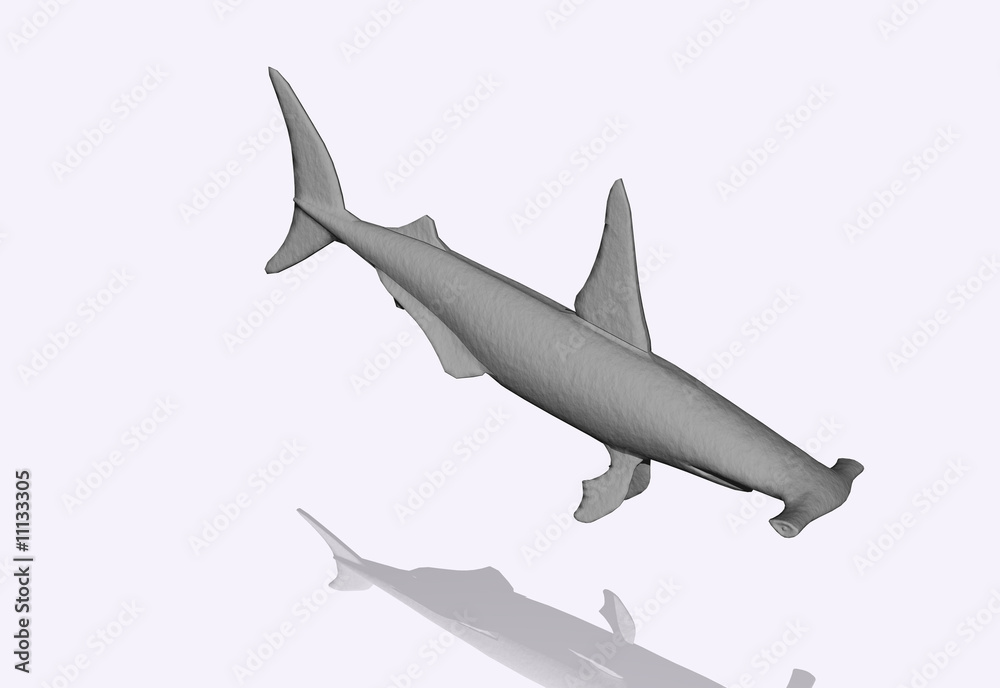 Fototapeta premium 3D shark