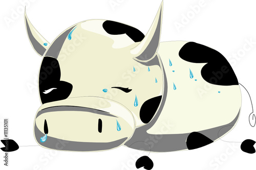 CRAZY COW