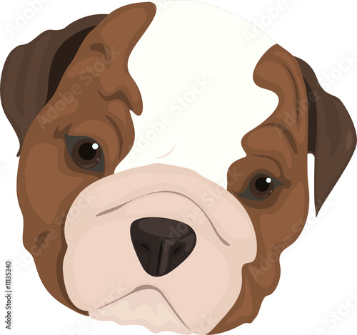 Dog face