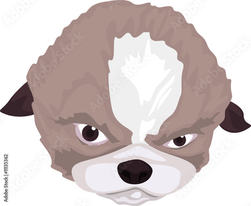Dog face