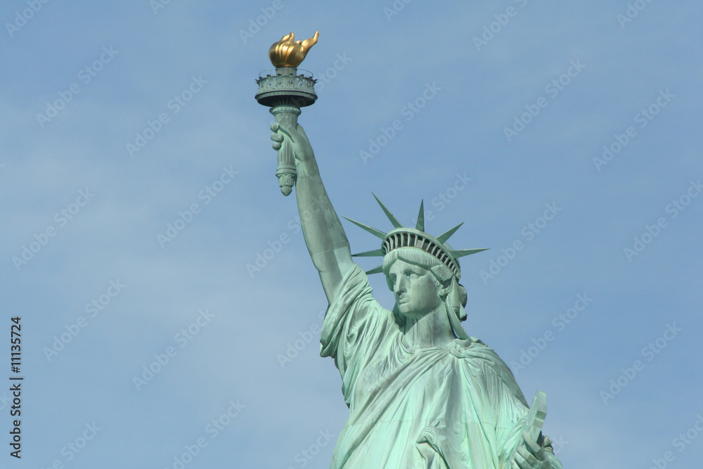 Fototapeta premium statue de la liberté