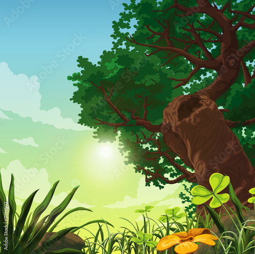 landscape