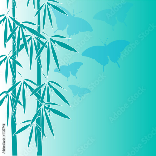Fototapeta Naklejka Na Ścianę i Meble -  Bambus Illustration