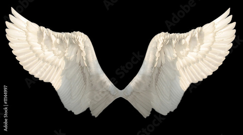 Fotografie, Obraz two wings angel isolated