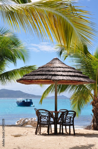 Quadro em tela palm island