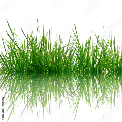 Gras