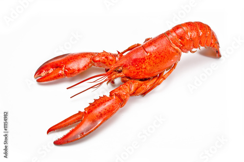 Hummer