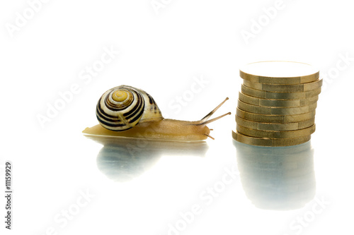 Snail going close to coin pile