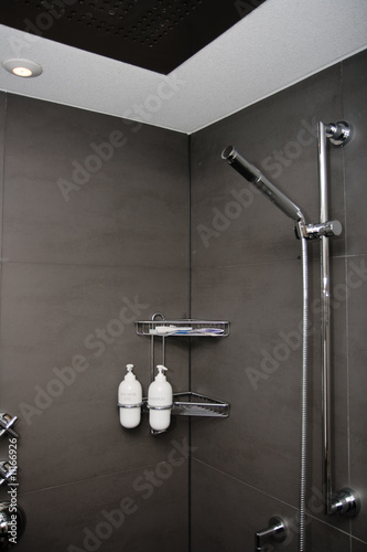 luxury trendy shower room