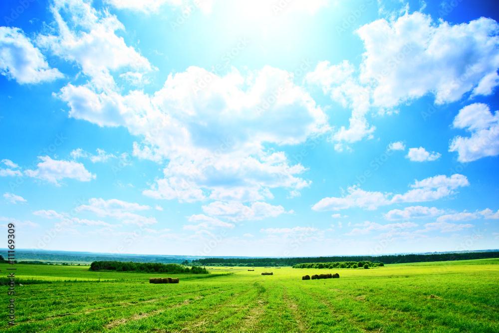 roll of hay an field harvested grass roll of hay an field harvested grass