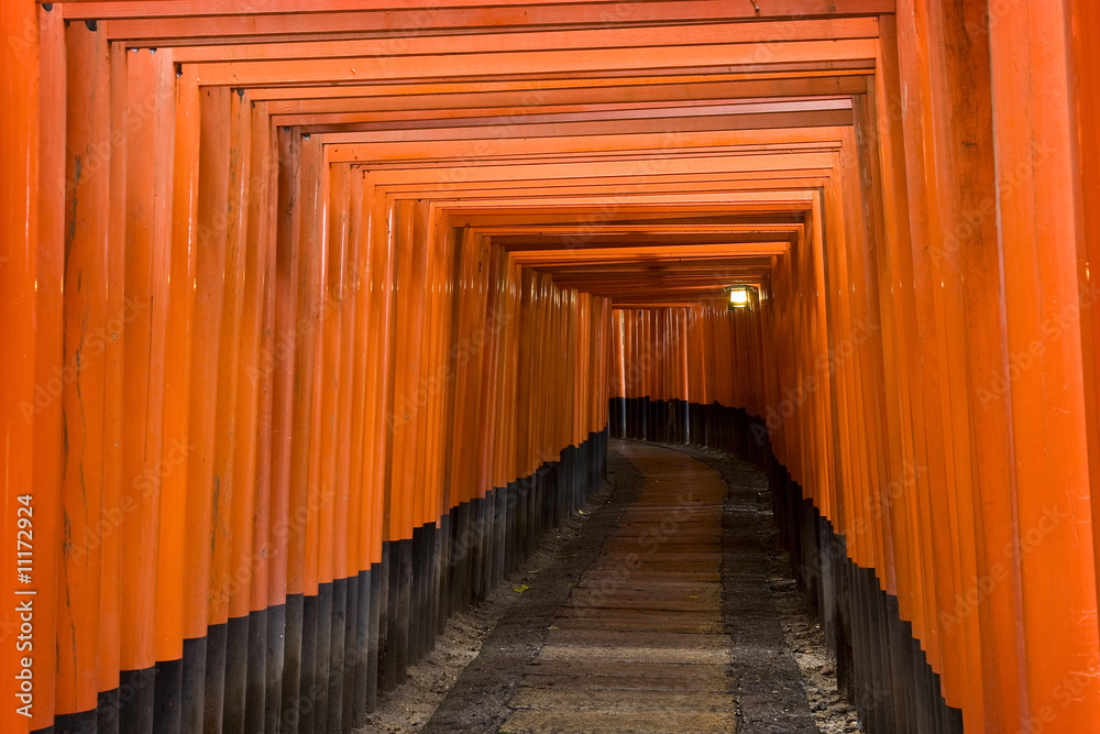Fototapeta premium Torii Fushimi Inari