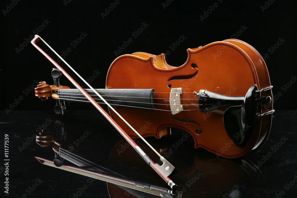 Fototapeta premium violino